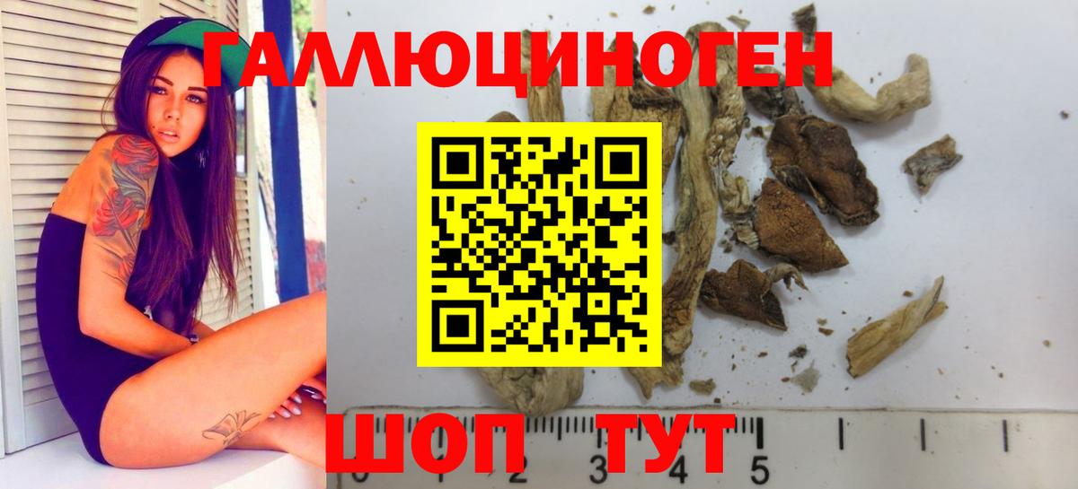 сколько стоит  Псилоцибиновые грибы Psilocybe  Вход с VPN  Псилоцибиновые грибы мухоморы  Родники 